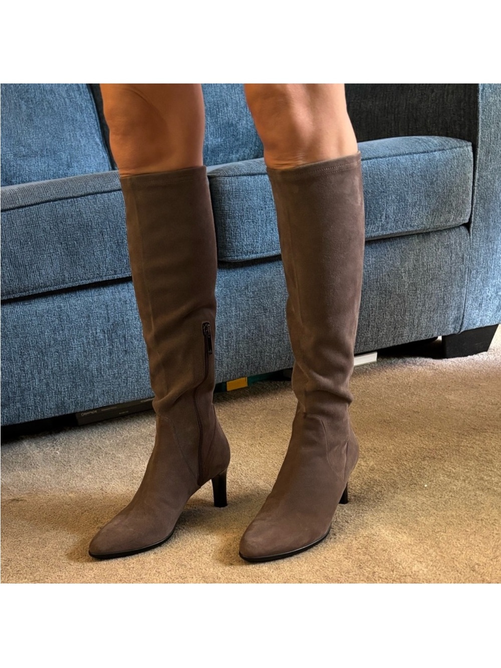 Aquatalia Tall Taupe Suede Boots